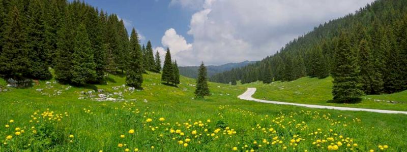 Voce tra le Cime